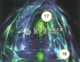 最终幻想7 disc2图文攻略