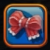 狩龙战纪全服装饰品效果说明