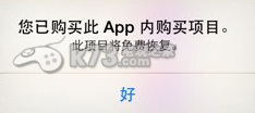 航海王强者之路iOS常见问题解决方法