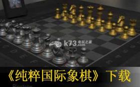 纯粹国际象棋 欧版下载【3DSWare】 截图