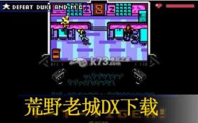 荒野老城DX 欧版下载【3DSWare】 截图