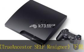 TrueAncestor SELF Resigner v1.95下载 截图