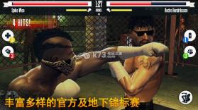 真实拳击 v2.9.0 中文版下载 截图