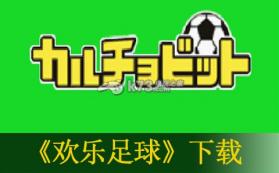 欢乐足球 中文版下载 截图