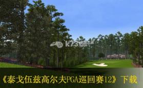 泰戈伍兹高尔夫PGA巡回赛12 美版下载 截图