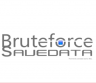 PS3存档修改器Bruteforce Save Data v4.7.3下载