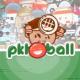 口袋小球安卓下载v2.1.2