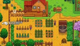 stardew valley v1.03H1升级档下载 截图