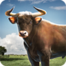 3D模拟公牛 v1.3 安卓版apk下载