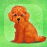 治愈的小狗养成游戏泰迪犬 v1.4 安卓手机版下载