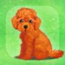 治愈的小狗养成游戏泰迪犬 v1.4 iphone/ipad版下载