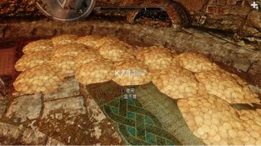 盗贼工会的荣耀mod下载 上古卷轴5盗贼工会升