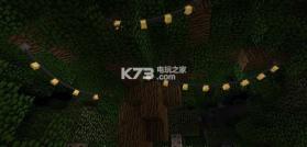 我的世界 v1.7.10 装饰小彩灯mod下载 截图