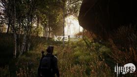 毫无生机Lifeless 画质补丁下载 截图