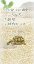 治愈的海龟育成 v1.3 ios中文版下载 截图