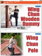 咏春拳 v11.0 教学app下载【图文】 截图