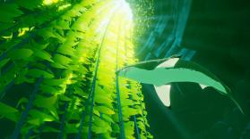 Abzu Steam破解版下载 截图