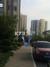 pokemon go v0.313.0 新西兰区懒人版下载 截图