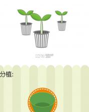 一米菜园app v1.0 安卓正版下载 截图