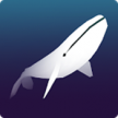 深海水族馆 v1.86.2 免谷歌验证版