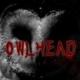 OwlHead Rebuild安卓手机版下载v1.0