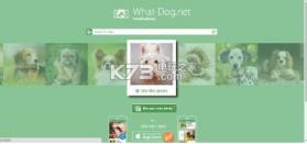 微软狗狗识别搜索引擎 v1.2.1 中文破解版下载 截图