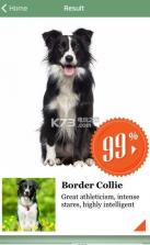 微软狗狗识别搜索引擎 v1.2.1 中文破解版下载 截图