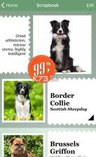 微软狗狗识别搜索引擎 v1.2.1 中文破解版下载 截图