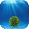 绿球藻育成 v1.0.0 安卓版下载