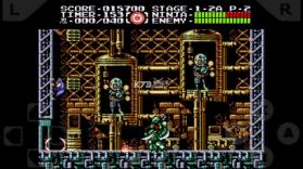 忍者龙剑传3合1 v1.1 下载 截图