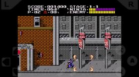 忍者龙剑传3合1 v1.1 下载 截图