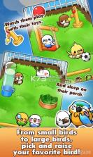 鸟类生活手游 v1.2.7 中文破解版下载 截图