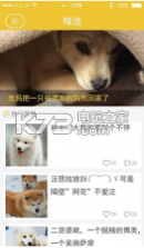 宠物主义 v1.3 app下载 截图