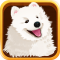宠物主义app下载