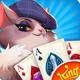 猫咪纸牌游戏下载v1.5.3