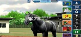 马中赤兔iHorse Racing手游 v2.23 安卓正版下载 截图