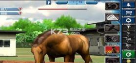 马中赤兔iHorse Racing手游 v2.23 安卓正版下载 截图