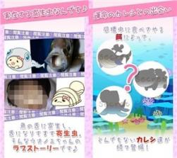 鱼虱酱恋爱的寄生虫 v1.0.3 汉化版下载 截图