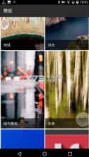 wallpapers壁纸 v1.0.0.1 app下载 截图