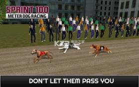 100米短跑赛狗 v1.0 手机版下载 截图