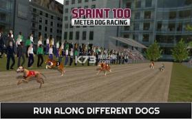 100米短跑赛狗 v1.0 手机版下载 截图