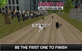 100米短跑赛狗 v1.0 手机版下载 截图