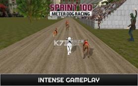 100米短跑赛狗 v1.0 手机版下载 截图
