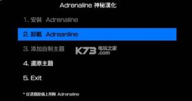 Adrenaline简易安装器 下载 截图