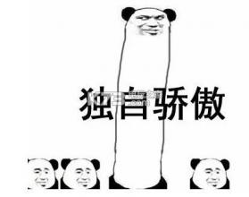 我骄傲搞笑表情 下载 截图