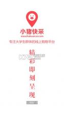 小猪快采 V1.0.1.1 安卓正版下载 截图