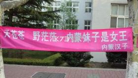 2017女生节横幅标语 下载 截图