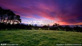 ps4专用壁纸包 下载 截图