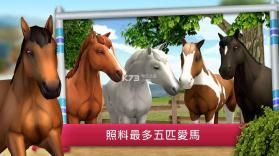 horseworld v1.0 下载 截图