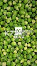 蜜蜂配送 v1.0.22 下载 截图